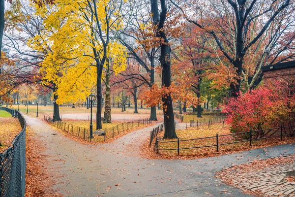 NY Central park op regenachtige dag — Stockfoto