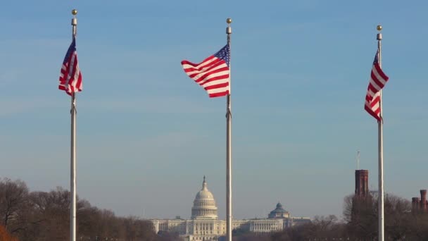 Flags of the United States and capitol. Slow motion. — Stock Video
