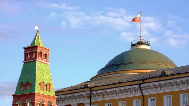 Ryska federationens flagga viftar på kupolen i Senatspalatset i Moskva Kreml — Stockvideo
