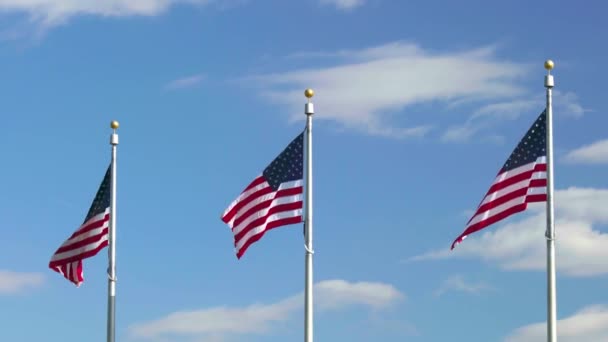 Flags of the United States waving over blue sky — Stock Video