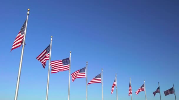 Flags of the United States waving over blue sky — Stock Video