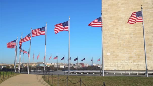 Прапори Сполучених Штатів біля монументу Вашингтона махають над блакитним небом. — стокове відео