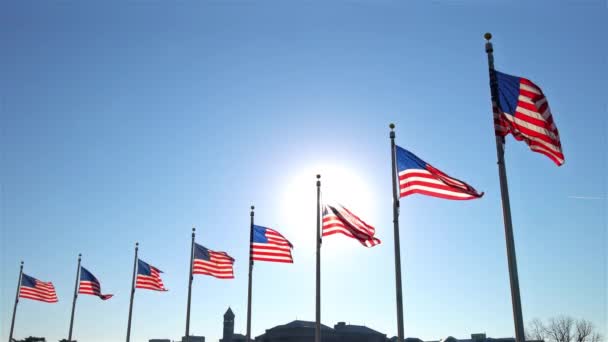 Flaggor i USA vinkar över blå himmel — Stockvideo