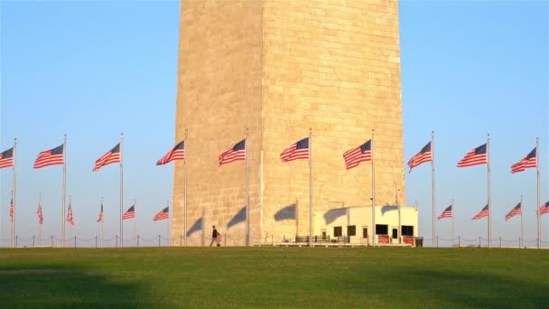 Washington yakınlarındaki Birleşik Devletler bayrakları mavi gökyüzünde dalgalanıyor. — Stok video