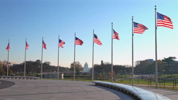Flaggen der Vereinigten Staaten und der Hauptstadt. — Stockvideo