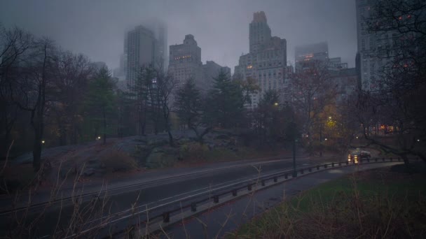 Центральный парк Нью-Йорка в дождливое утро — стоковое видео