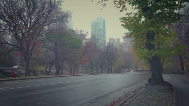 पावसाच्या सकाळी न्यूयॉर्क सेंट्रल पार्क — स्टॉक व्हिडिओ