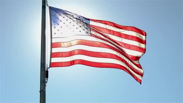 Birleşik Devletler Bayrağı — Stok video