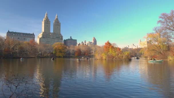 People enjoy sunny autumn day in New York Central park — Stock Video