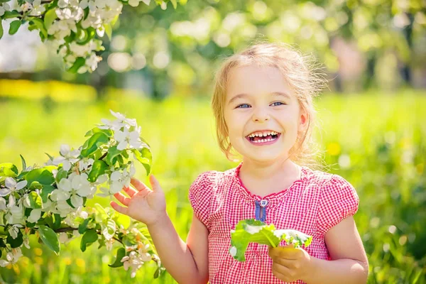 Lycklig liten flicka i äppelträd trädgård — Stockfoto