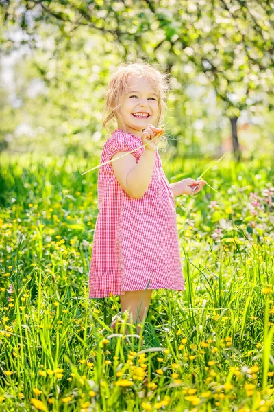 Šťastná holčička na jarní zahradě — Stock fotografie