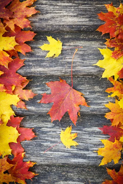 Autumn background — Stock Photo, Image