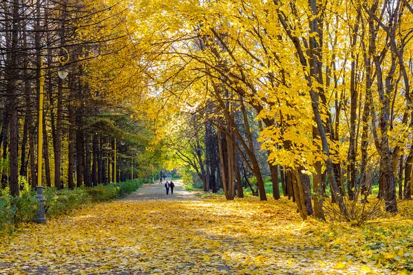 Parc d'automne — Photo