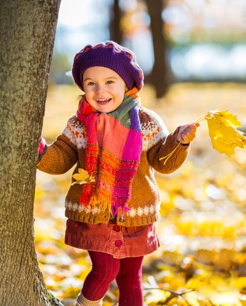 Щаслива маленька дівчинка грає в осінньому парку — стокове фото