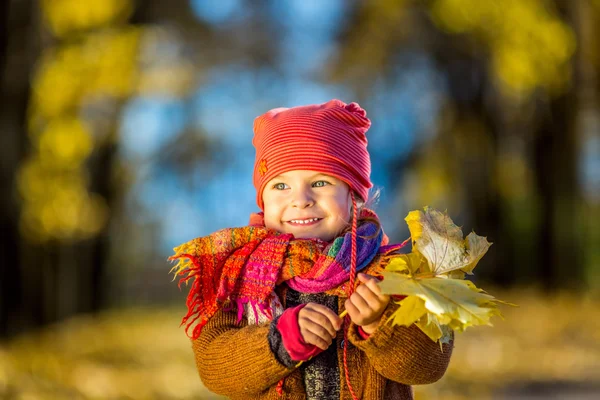 Menina brincando com folhas de outono — Fotografia de Stock