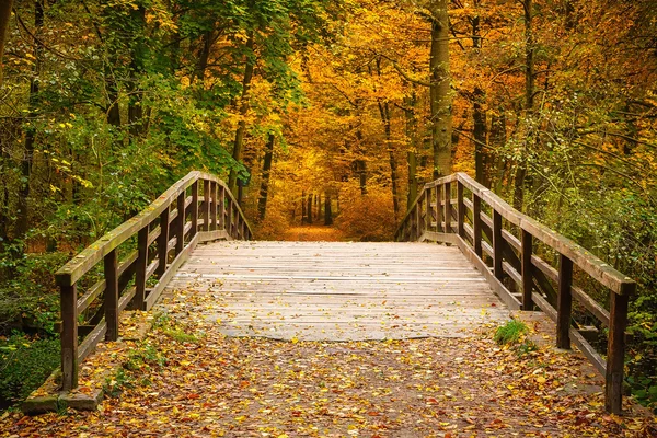 Puente en bosque de otoño —  Fotos de Stock