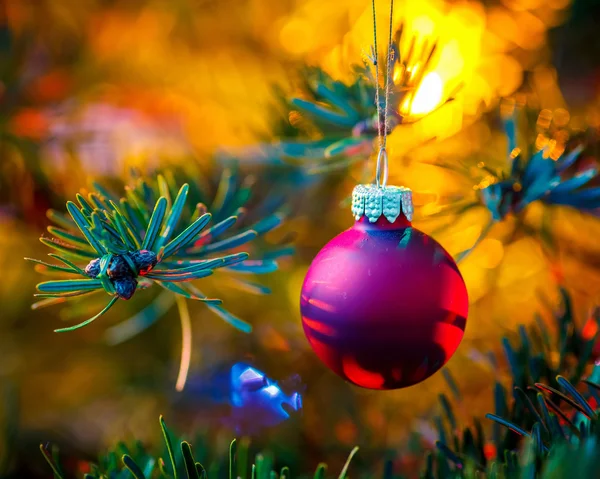 Украшенное рождественское дерево — стоковое фото