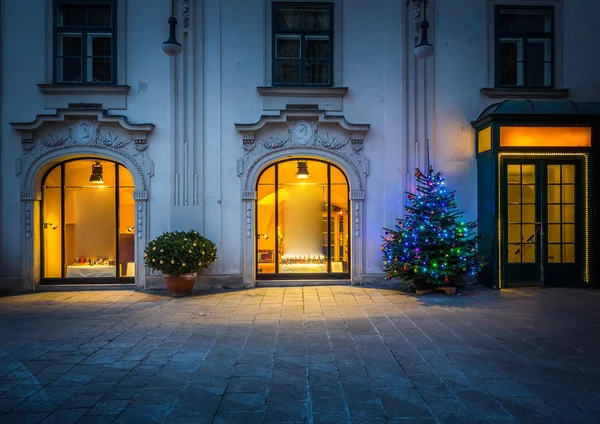 Рождественская елка в Вене — стоковое фото