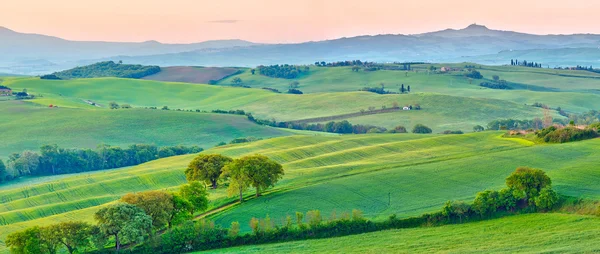 Toskania wiosną — Zdjęcie stockowe