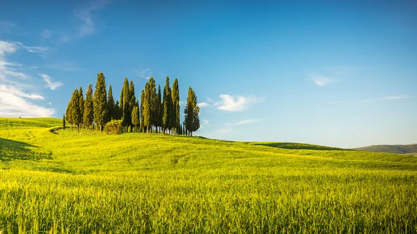 Toscana på våren — Stockfoto