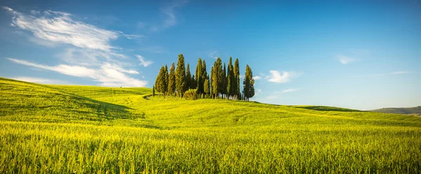 Toscana på våren — Stockfoto