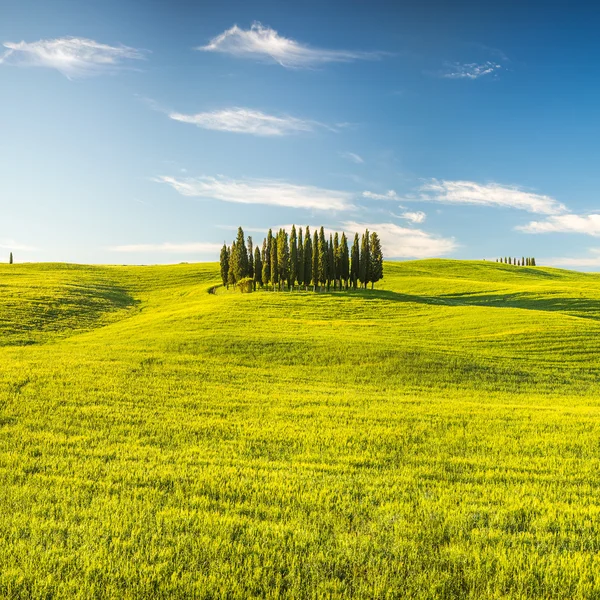 Toskana im Frühling — Stockfoto