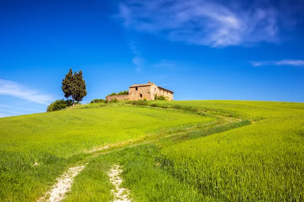 Toscana na primavera — Fotografia de Stock