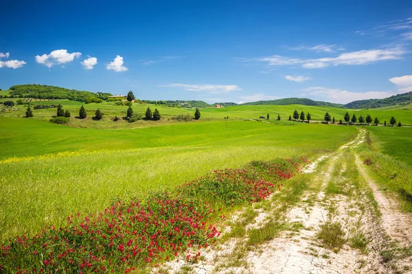 Toskana im Frühling — Stockfoto