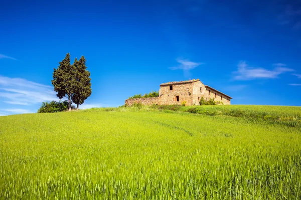 Tuscany at spring — Stock Photo, Image