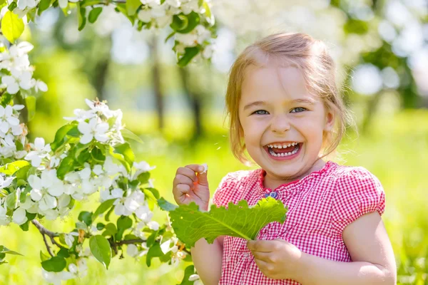 Happy little girl in spring sunny park — Stock Photo, Image