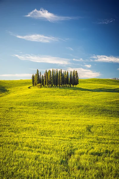 Beau paysage en Toscane, Italie — Photo