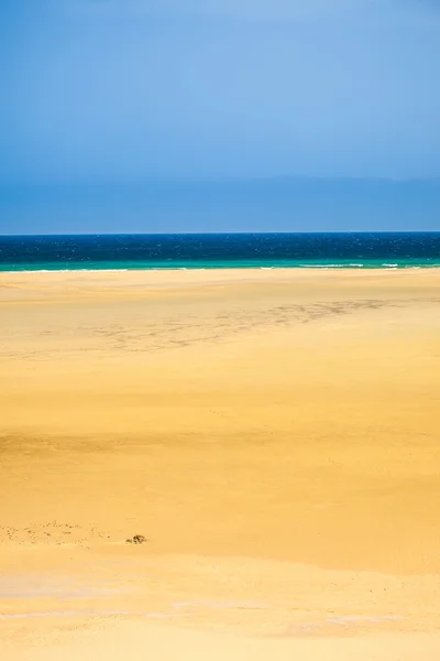 Playa en la costa del océano Atlántico — Foto de Stock