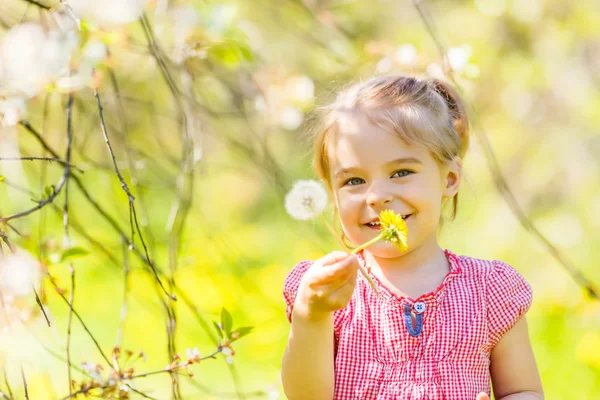 Gelukkig klein meisje in de lente zonnig park — Stockfoto