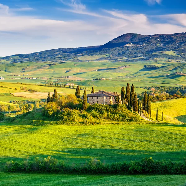 トスカーナの美しい風景,イタリア — ストック編集用写真©sborisov#48859255