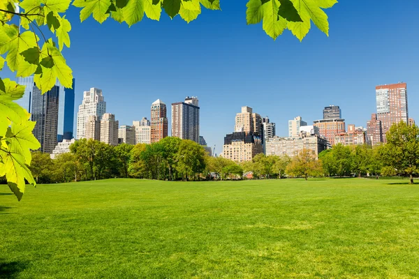 Central Park, Nowy Jork — Zdjęcie stockowe