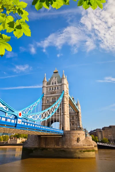 Tower Bridge in London, UK — Stock Photo © sborisov #6717085