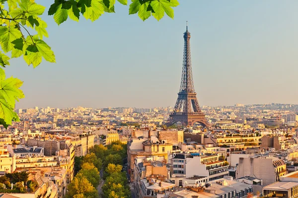 View on Eiffel tower at sunset — Stock Photo, Image