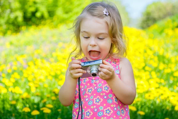 Маленькая девочка фотографирует на лугу — стоковое фото