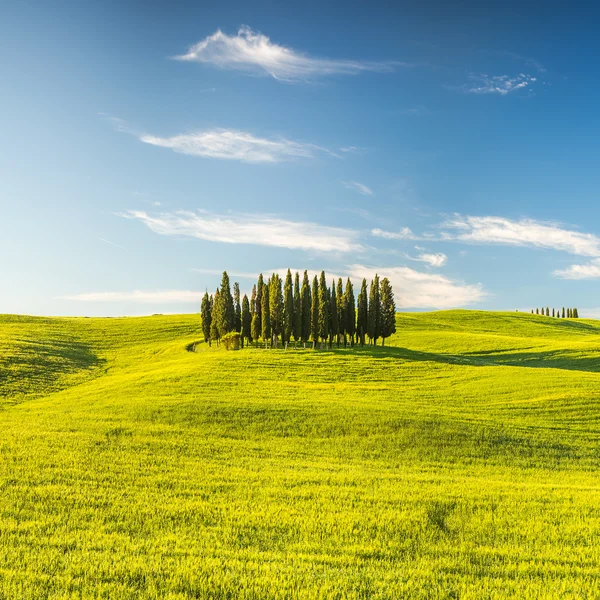 Toscane au printemps — Photo