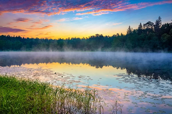 Mlhavý východ slunce na jezeře — Stock fotografie