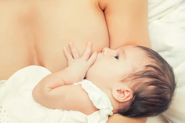 Allattamento di neonati — Foto Stock