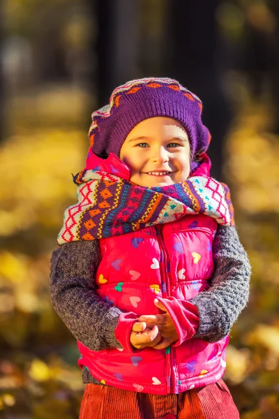 Schattig klein meisje in de herfst park — Stockfoto