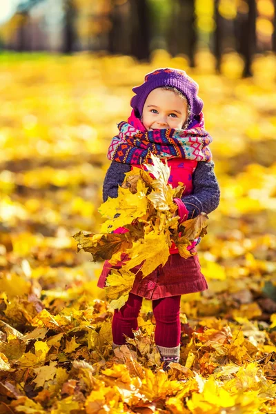 Sonbahar yaprakları ile oynarken küçük kız — Stok fotoğraf