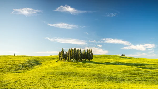 Toscane au printemps — Photo