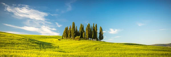 Toscane au printemps — Photo