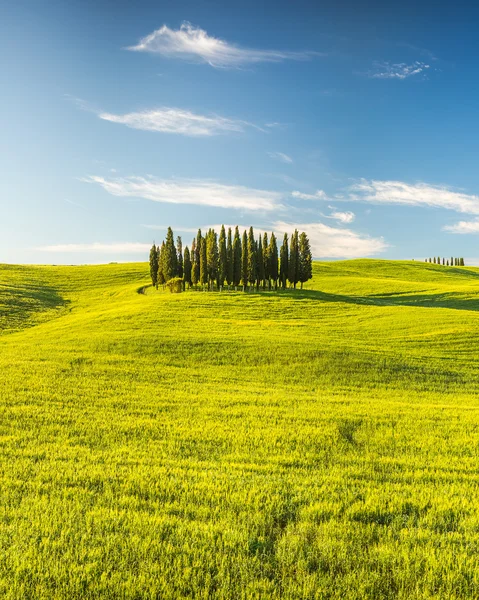 Toscana en primavera —  Fotos de Stock