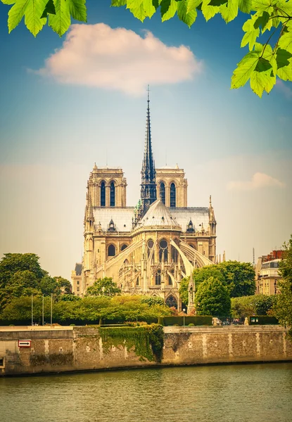 Notre Dame w Paryżu — Zdjęcie stockowe