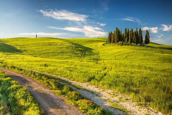 Toscana på våren — Stockfoto