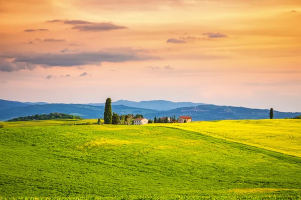 Toskana im Frühling — Stockfoto