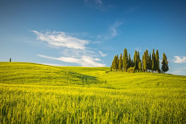 Toscana på våren — Stockfoto